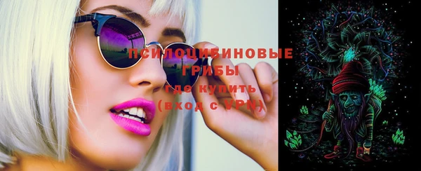 спайс Баксан