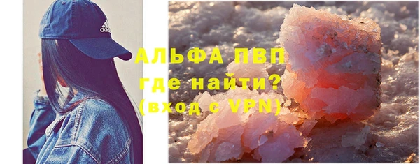 спайс Баксан