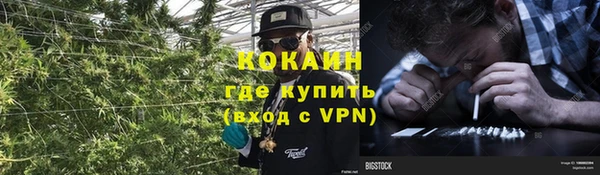 бошки Богданович