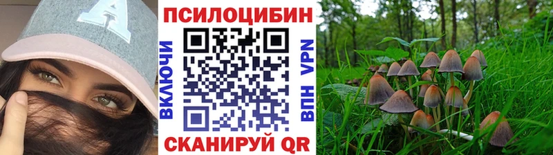 Галлюциногенные грибы MAGIC MUSHROOMS Великий Новгород